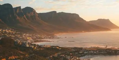 tips for wildlife volunteering in south africa