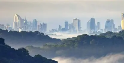 mountains covered in trees and fog with city in the distance