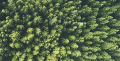 best places for environmental studies internships