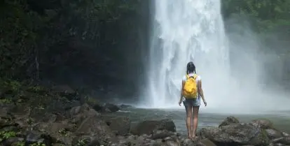 defer admission for a gap year