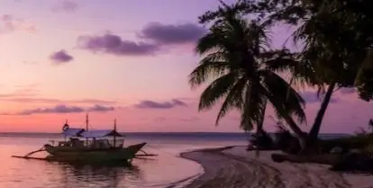 boat in water near sand and palm trees with colorful sky