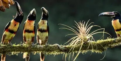 best places to study abroad for environmental science