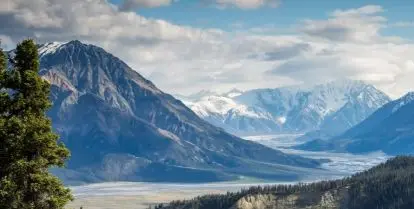 why intern in canada