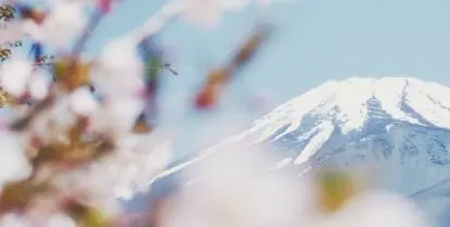 how much does it cost to study japanese in japan