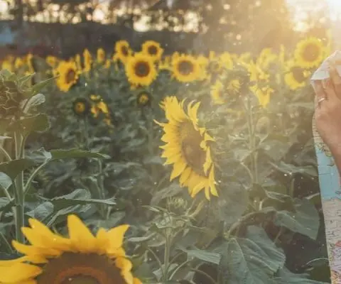 best degrees for travel