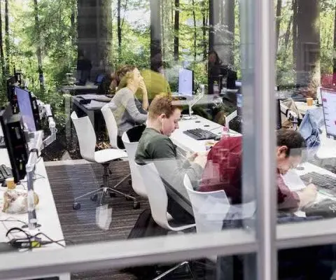 advantages of multidisciplinary curriculum