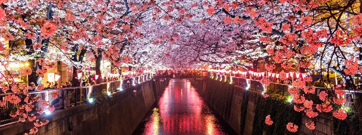 Meguro River, Matsuno, Japan