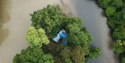 volunteer programs in borneo