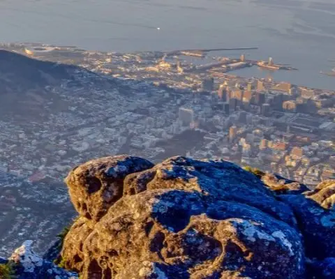 reasons to volunteer in south africa