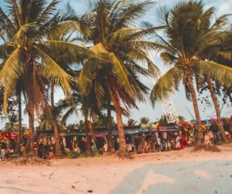 summer short courses 2025