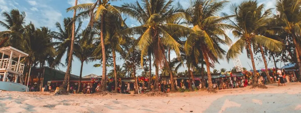 summer short courses 2025