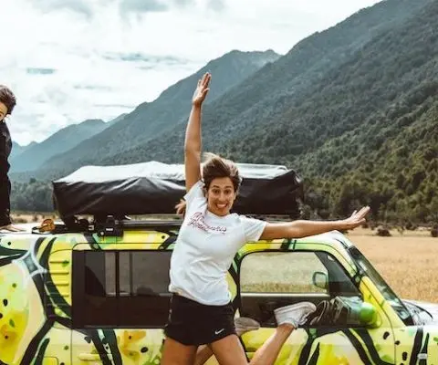 pros and cons of living in new zealand