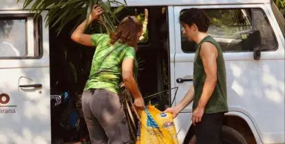 Reforestation in the Amazon of Brazil