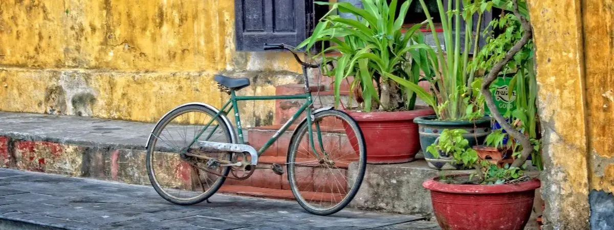 reasons to study abroad in vietnam