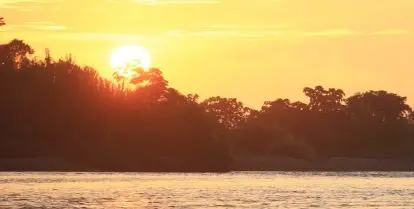 volunteer in the amazon rainforest