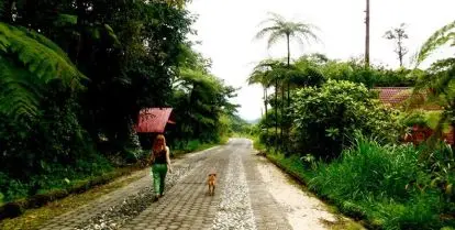 Take long walks through lush green Ecuadorian pathways.