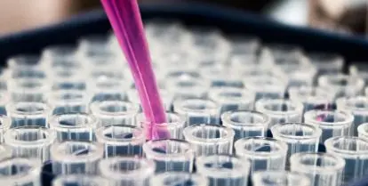 where to find biology internships